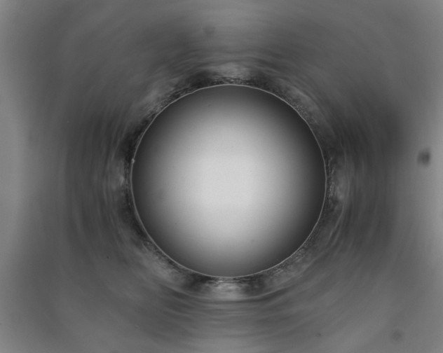 X0000091220518200708161659