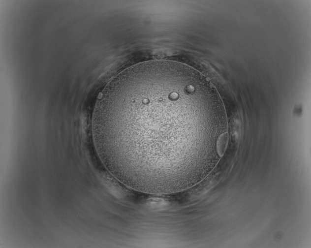 X0000091220519200708161659