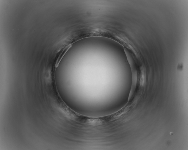 X0000091220520200708161659