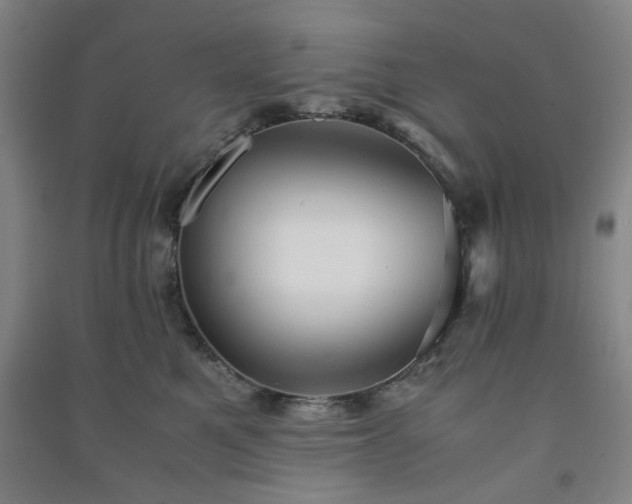 X0000091220521200708161659