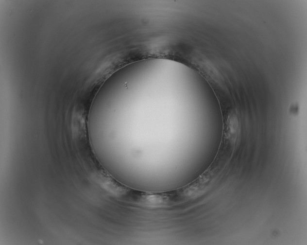 X0000091220522200708161659