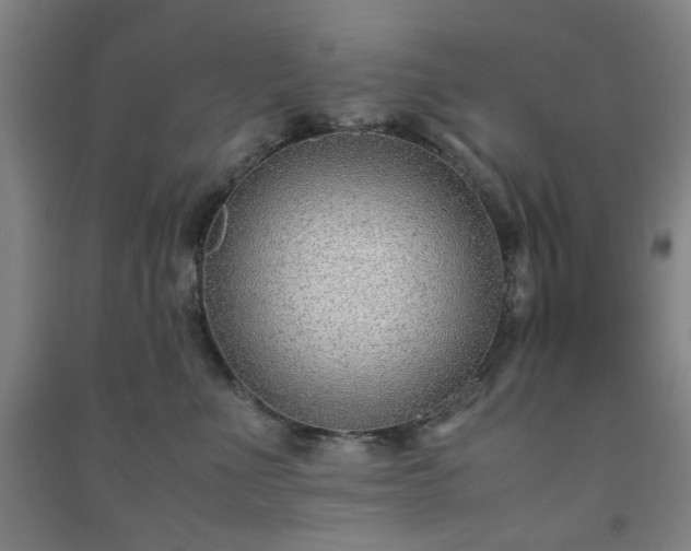 X0000091220523200708161659