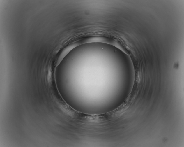 X0000091220524200708161659