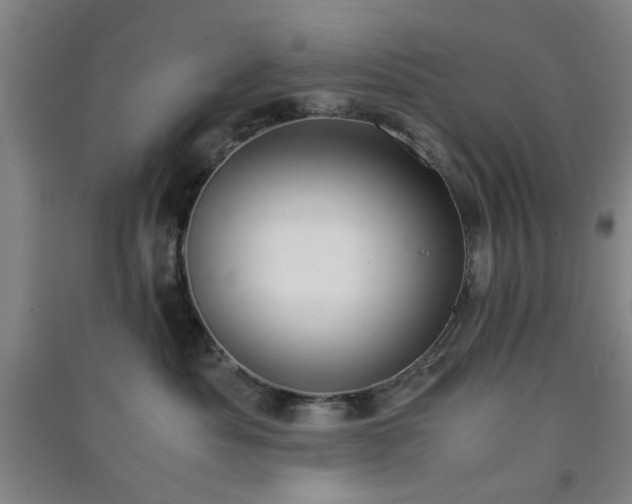 X0000091220525200708161659