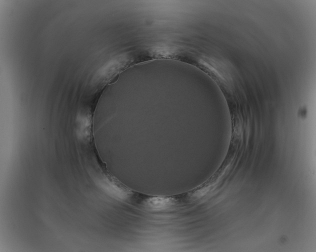 X0000091220526200708161659