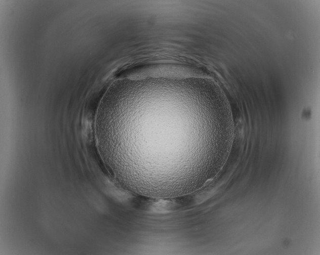 X0000091220527200708161659