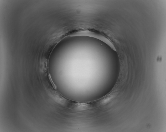 X0000091220528200708161659