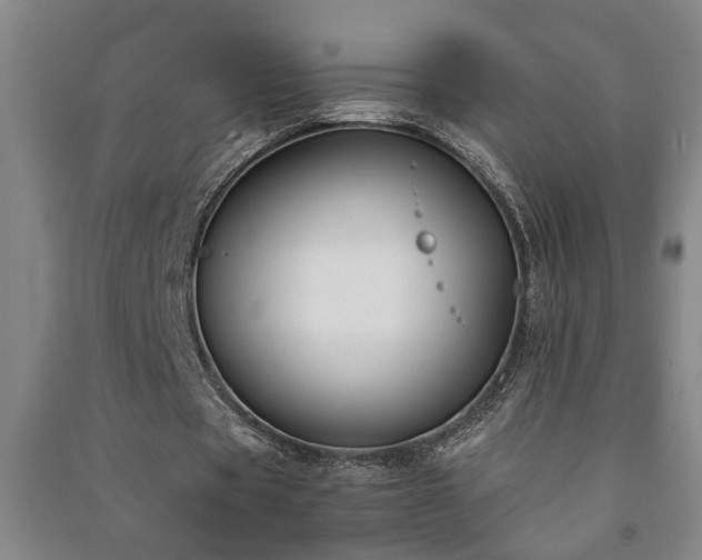 X0000091220529200708161658