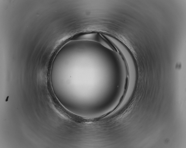 X0000091220530200708161658