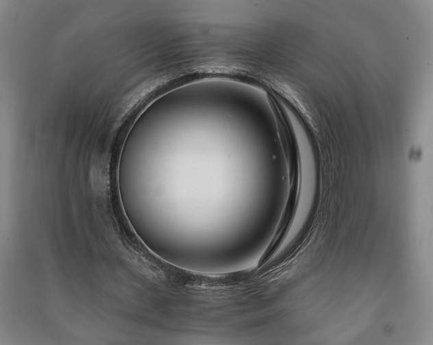 X0000091220531200708161658