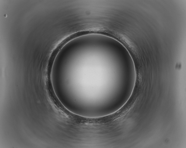 X0000091220532200708161658