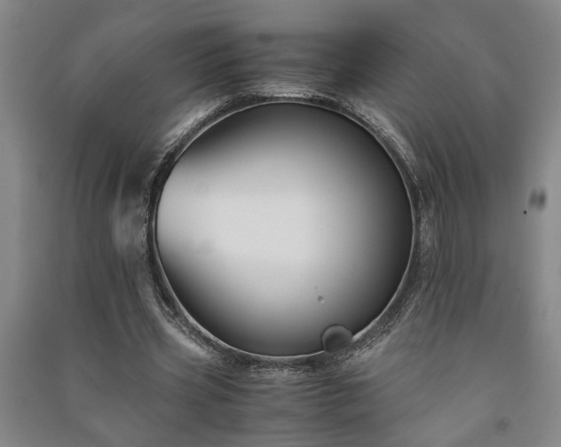 X0000091220533200708161658