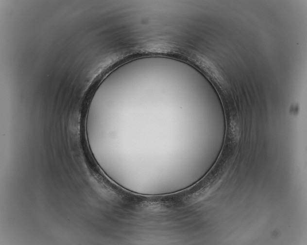 X0000091220534200708161658