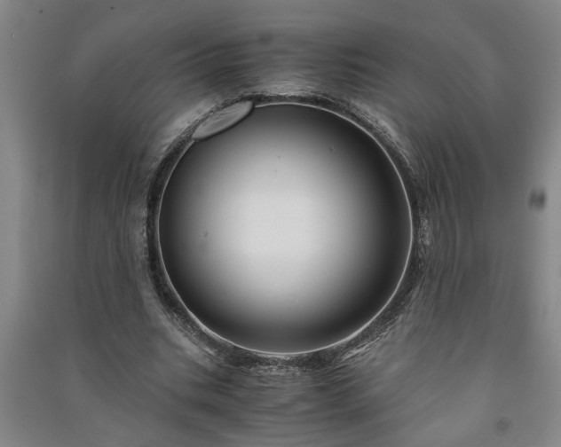 X0000091220535200708161658