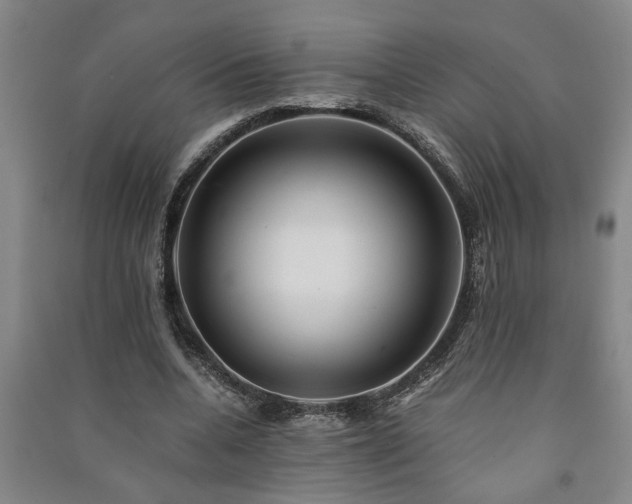 X0000091220536200708161658