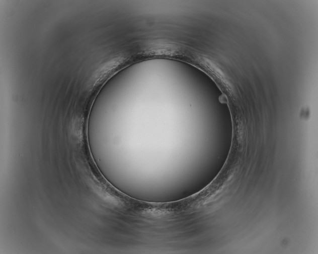 X0000091220537200708161658