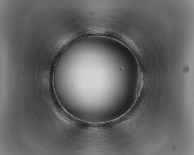 X0000091220538200708161658