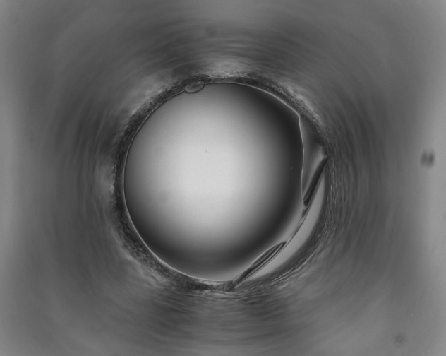 X0000091220539200708161658