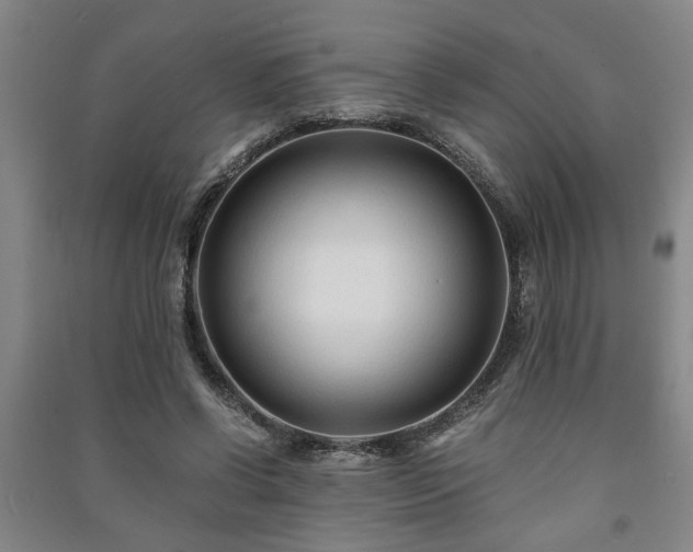 X0000091220542200708161658