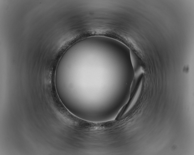 X0000091220543200708161658