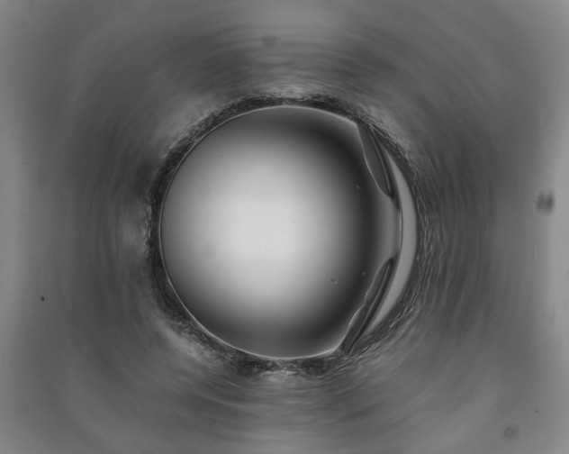 X0000091220544200708161658