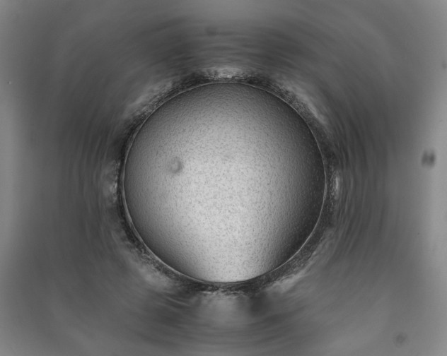 X0000091220545200708161658