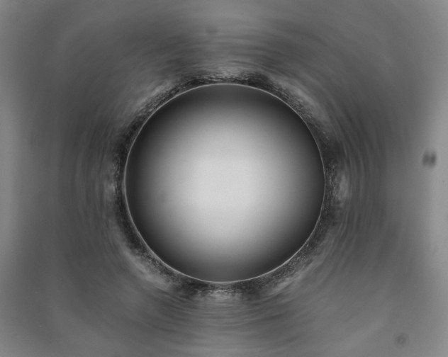 X0000091220546200708161658