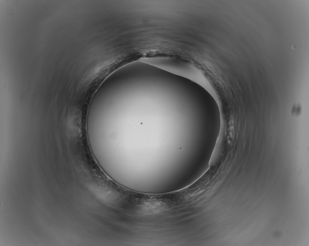 X0000091220547200708161658