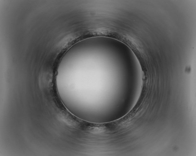 X0000091220548200708161658