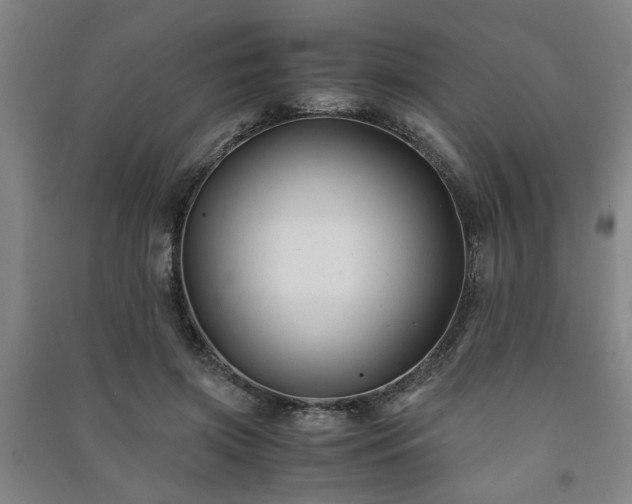 X0000091220549200708161658