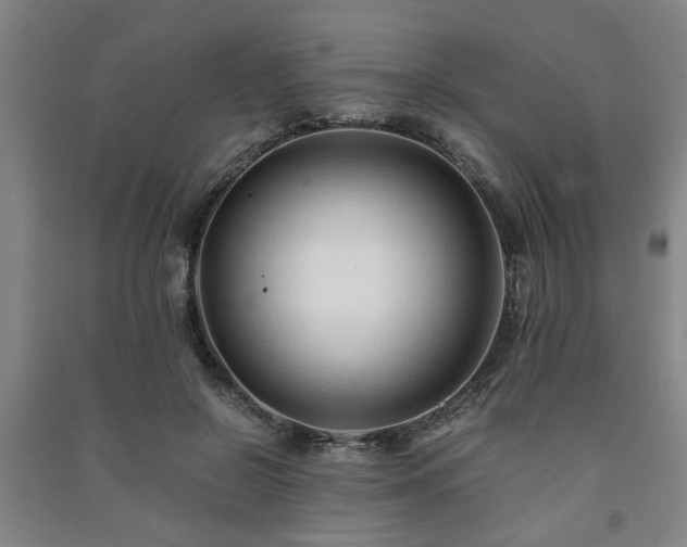 X0000091220550200708161658