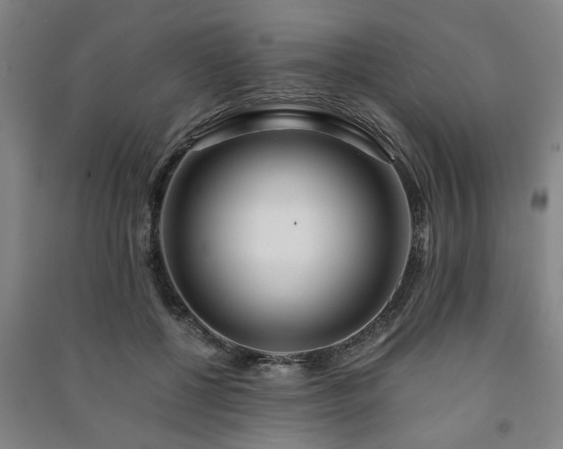 X0000091220552200708161658