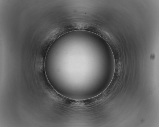 X0000091220554200708161658