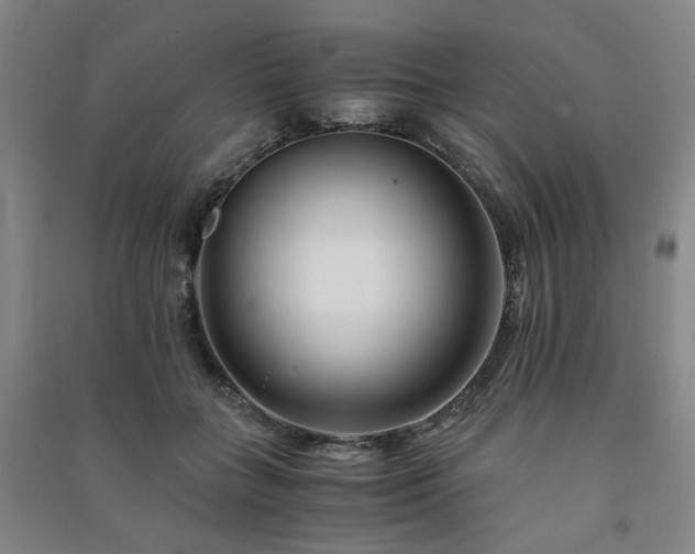 X0000091220555200708161658