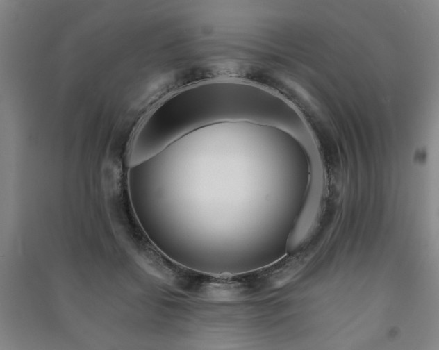 X0000091220556200708161658