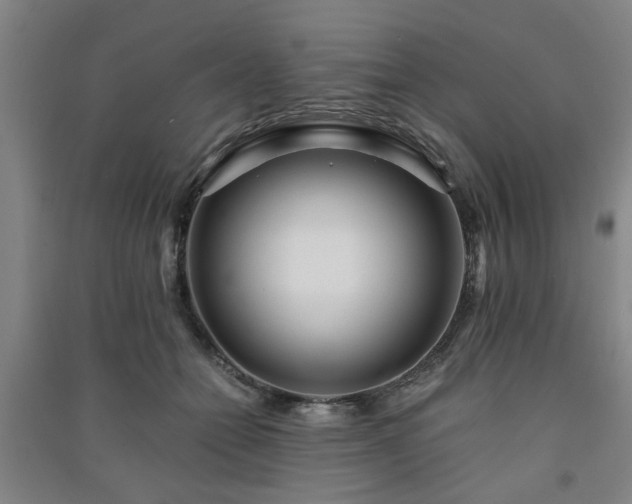 X0000091220558200708161658