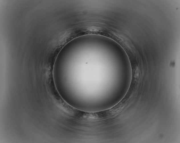 X0000091220559200708161658