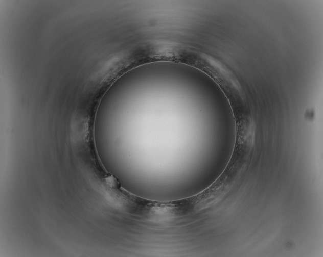 X0000091220560200708161658