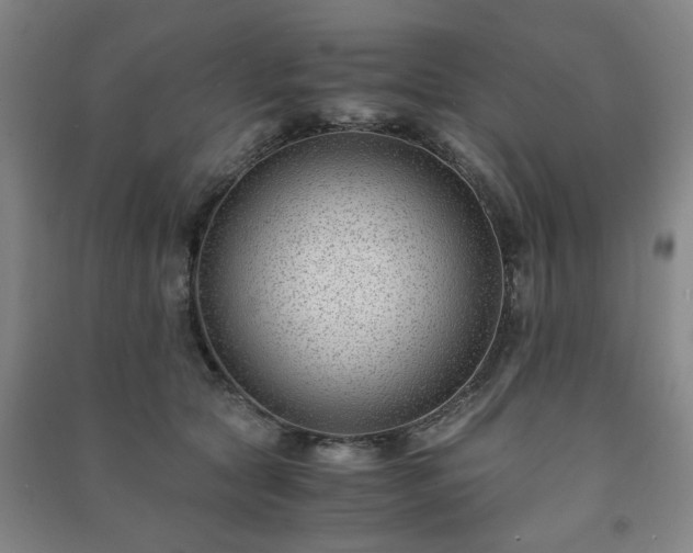 X0000091220561200708161658