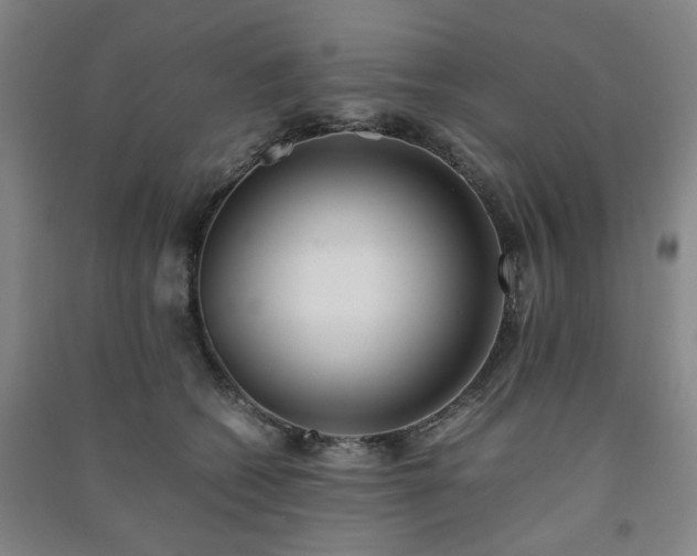 X0000091220562200708161658