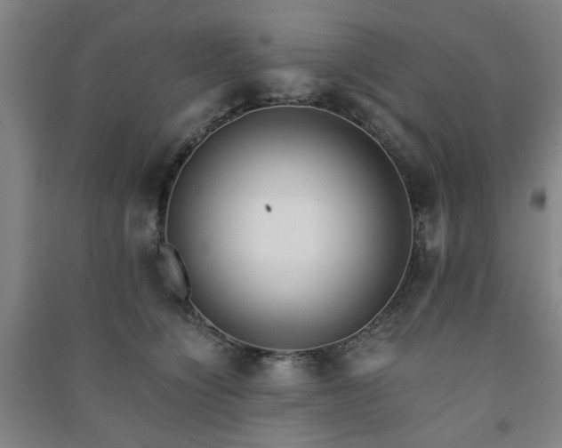 X0000091220564200708161659