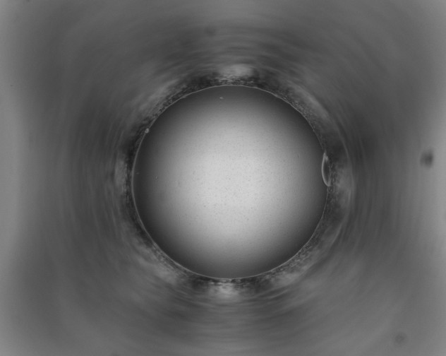 X0000091220565200708161659