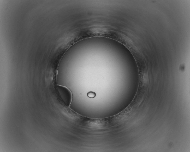 X0000091220567200708161659