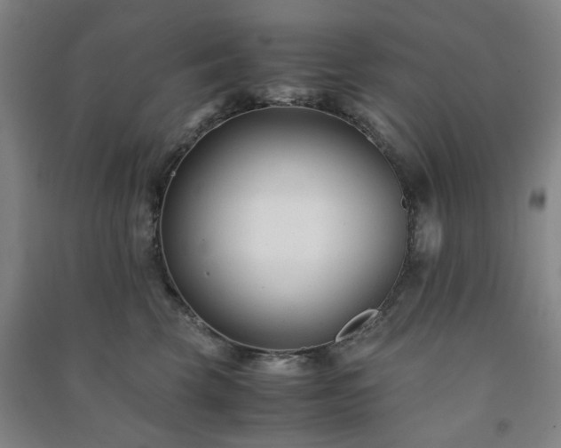 X0000091220569200708161659