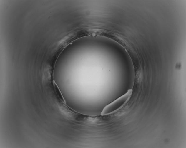 X0000091220570200708161659