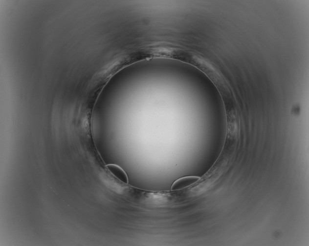 X0000091220573200708161659