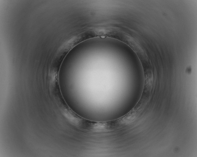 X0000091220574200708161659