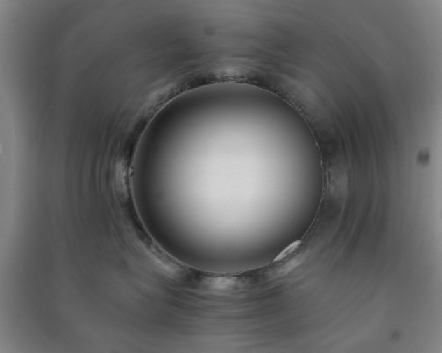 X0000091220575200708161659