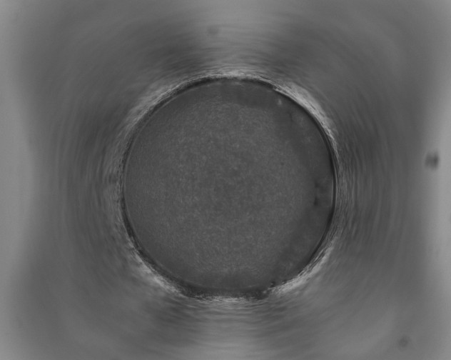 X0000091220577200708161658