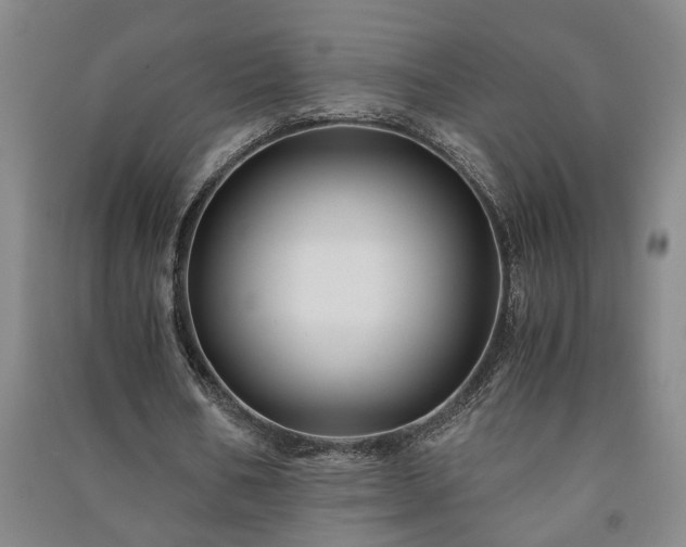 X0000091220578200708161658